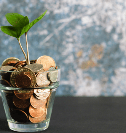 Maceta de cristal transparente con monedas y una planta verde.