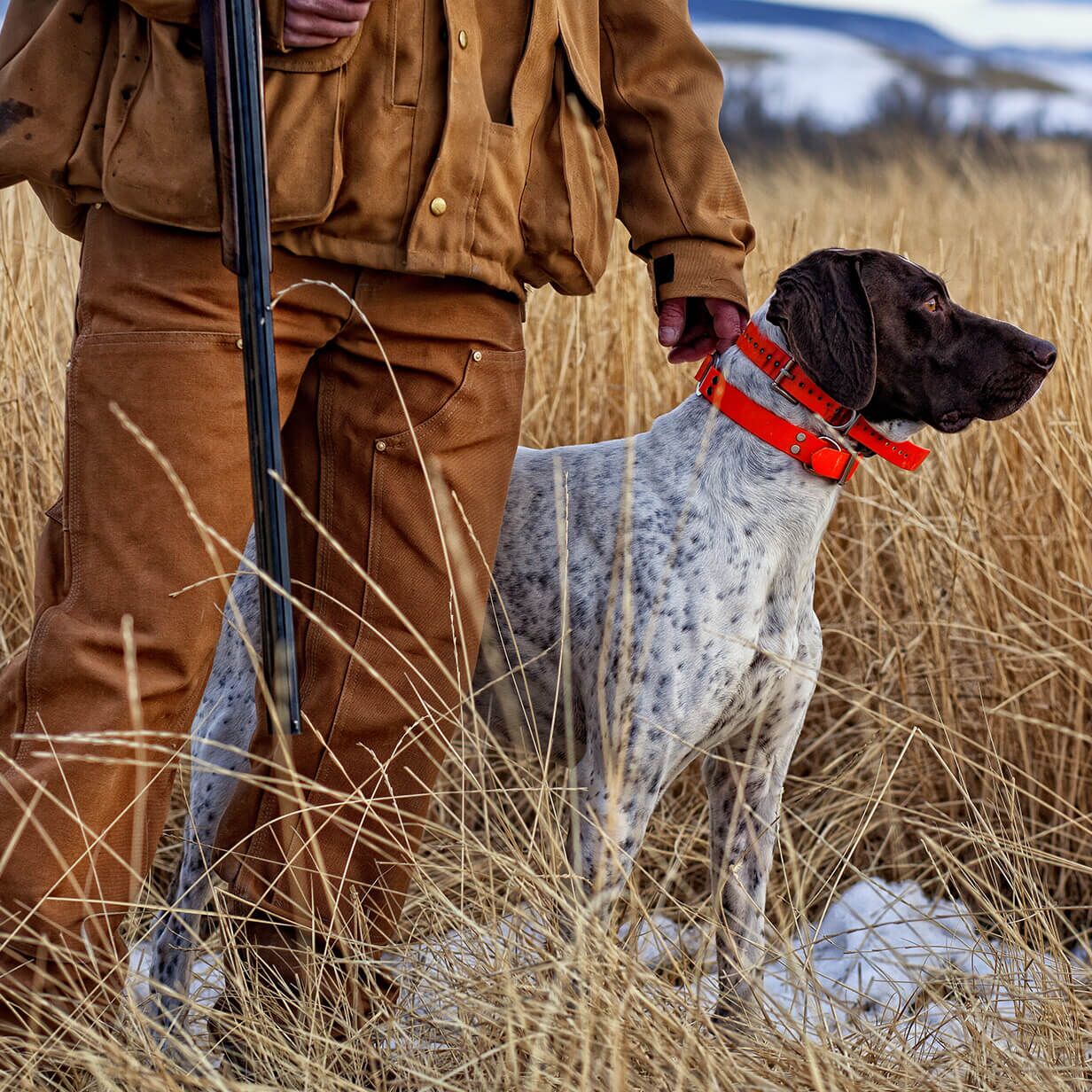 Hunter standing in a field next to his dog and holding a firearm.